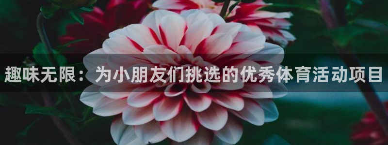 海南一竞技官网下载