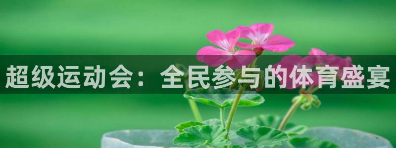 一竞技官网下载招商电话号码查询：超级运动会：全民参与