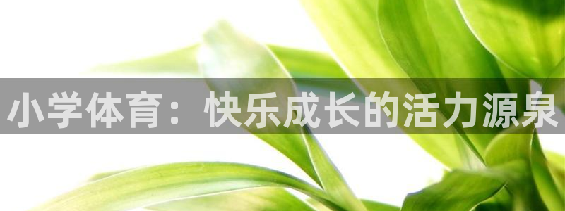 一竞技官方正版app娱乐是那个系列的台子：小学体育：