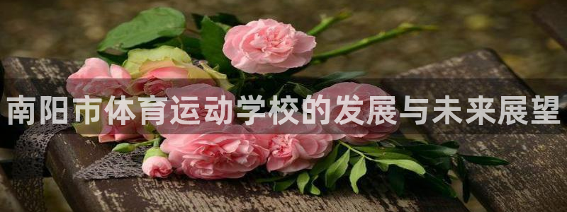 一竞技官网下载官方客服电话：南阳市体育运动学校的发展与未来展