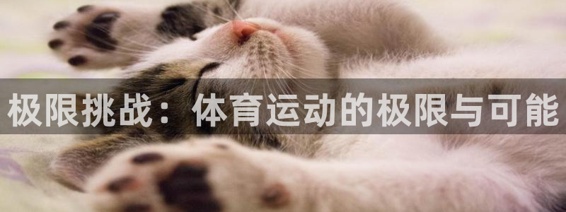 一竞技官网下载招商电话地址是多少：极限挑战：体育运动