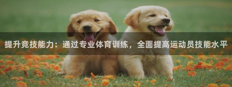 一竞技官网下载招商电话号码是多少：提升竞技能力：通过