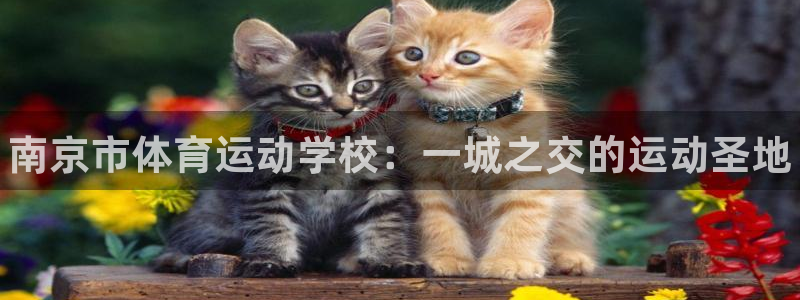 一竞技官网下载平台注册流程图：南京市体育运动学校：一