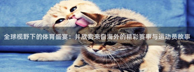 一竞技官网下载平台假的吗是真的吗：全球视野下的体育盛