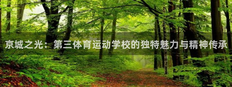 一竞技官方正版app科技：京城之光：第三体育运动学校