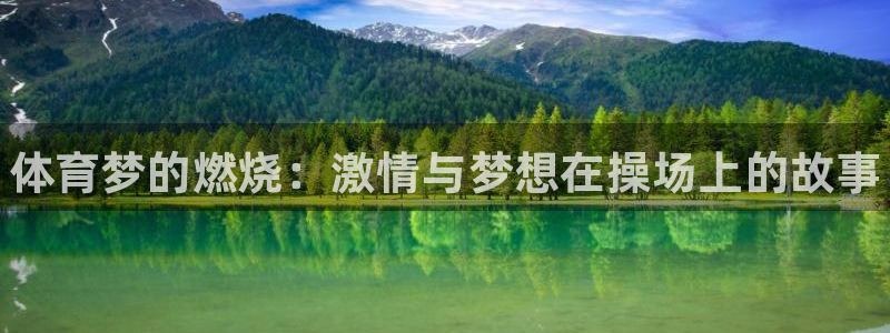 一竞技官方正版app集团官网首页：体育梦的燃烧：激情