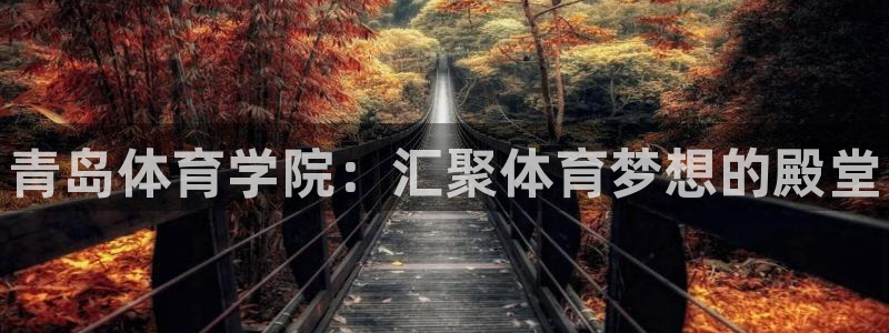 一竞技官网下载平台：青岛体育学院：汇聚体育梦想的殿堂