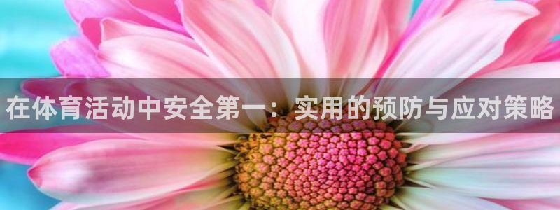 一竞技官方正版app娱乐：在体育活动中安全第一：实用的预防与