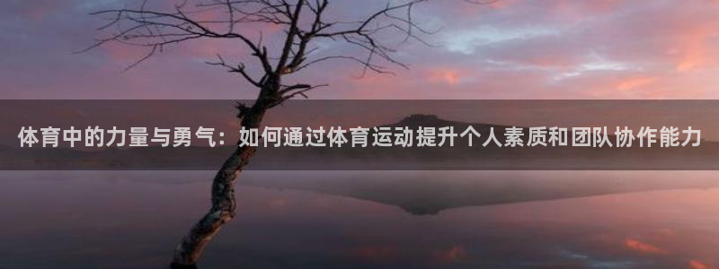 一竞技官网下载招商电话是多少啊：体育中的力量与勇气：如何通过