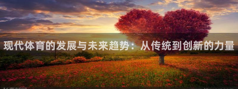 一竞技官网下载官方客服电话：现代体育的发展与未来趋势：从传统