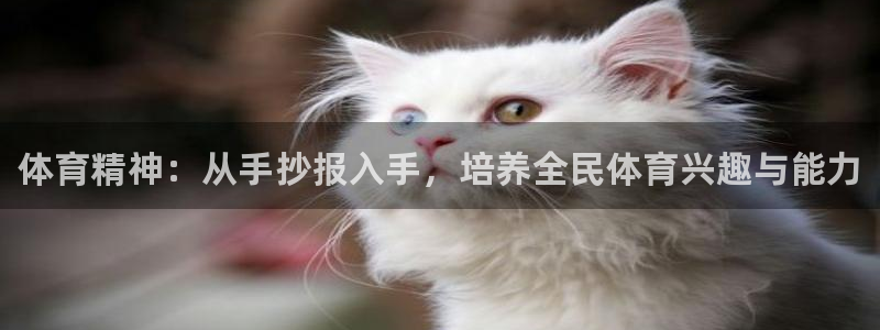 一竞技官网下载招商电话号码是多少啊：体育精神：从手抄报入手，