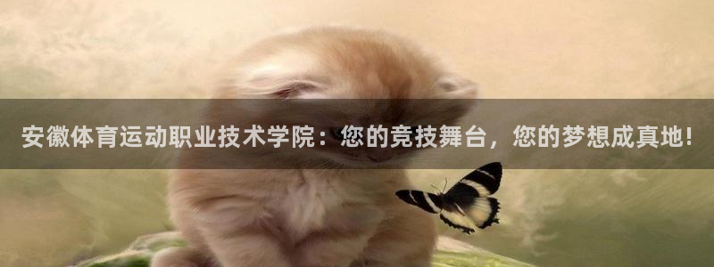 一竞技官网下载：安徽体育运动职业技术学院：您的竞技舞台，您的