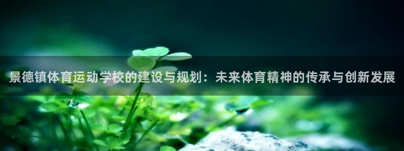一竞技官网下载平台：景德镇体育运动学校的建设与规划：