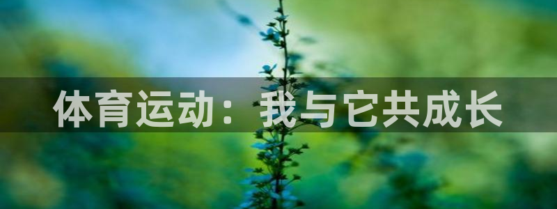 海南一竞技官网下载发展怎么样