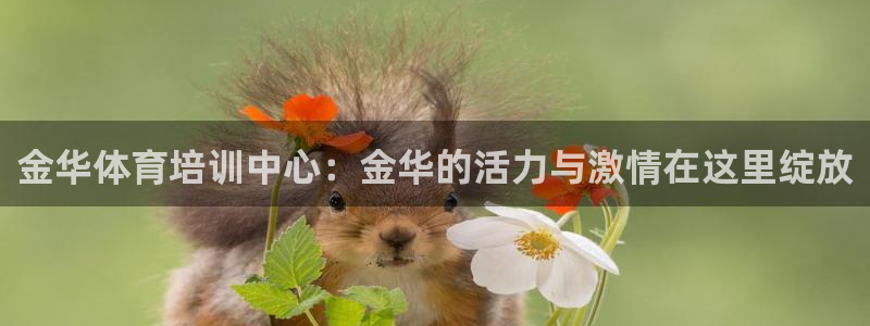 一竞技官网下载招商电话是多少号码