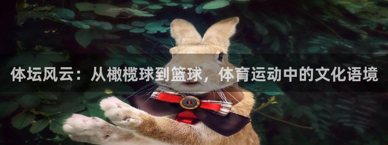 一竞技官网下载招商电话是多少号码：体坛风云：从橄榄球到篮球，