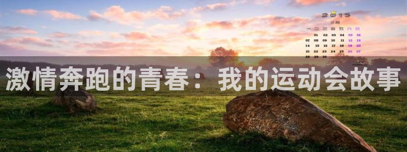 一竞技官网下载招商电话地址是多少：激情奔跑的青春：我的运动会
