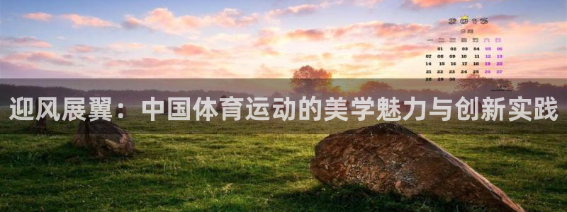 一竞技官方正版app五金厂：迎风展翼：中国体育运动的美学魅力