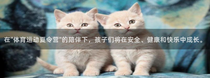 一竞技官方正版app娱乐首页网站大全：在\