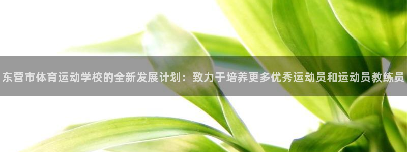 一竞技官方正版app娱乐网站：东营市体育运动学校的全新发展计