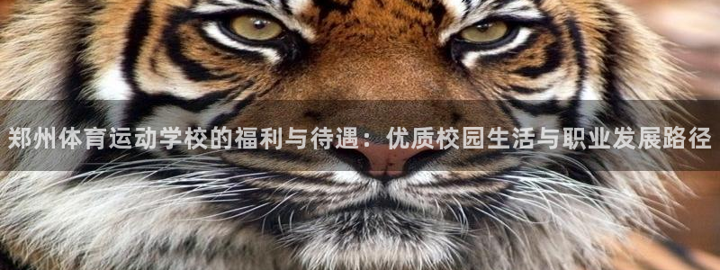 一竞技官方集团官网：郑州体育运动学校的福利与待遇：优质校园生