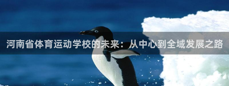 一竞技官网下载联系电话：河南省体育运动学校的未来：从中心到全