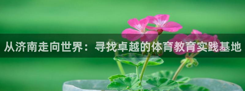 一竞技官网下载招商电话号码是多少啊：从济南走向世界：寻找卓越