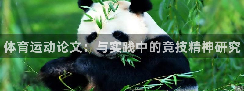 一竞技官网下载招商电话是多少啊：体育运动论文：与实践中的竞技