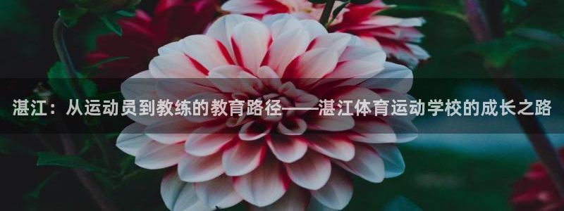 一竞技官方正版app娱乐40996