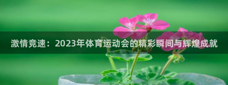 德国一竞技官方正版app集团：激情竞速：2023年体育运动会