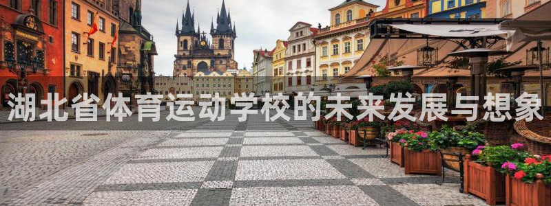 一竞技官方正版app神州