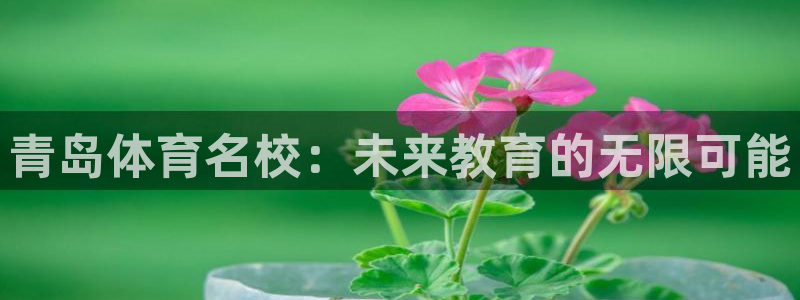 一竞技官网下载平台注册流程图