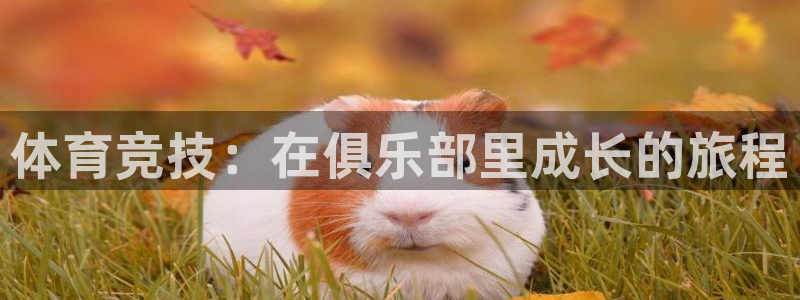 一竞技官网下载招商电话号码是多少：体育竞技：在俱乐部里成长的