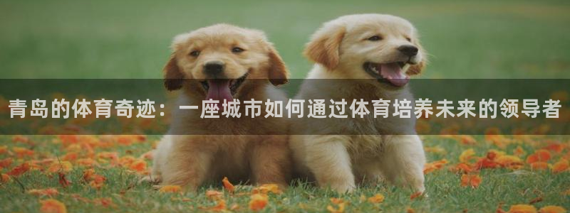 一竞技官方正版app集团官网首页