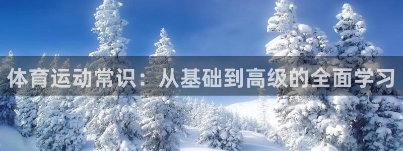 一竞技官方正版app集团E.ON：体育运动常识：从基础到高级