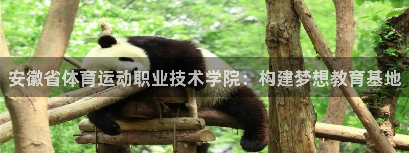一竞技官网下载平台假的吗是真的吗：安徽省体育运动职业技术学院