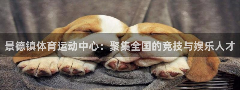 海南一竞技官网下载：景德镇体育运动中心：聚集全国的竞技与娱乐