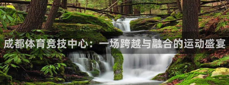 一竞技官网下载平台APP：成都体育竞技中心：一场跨越